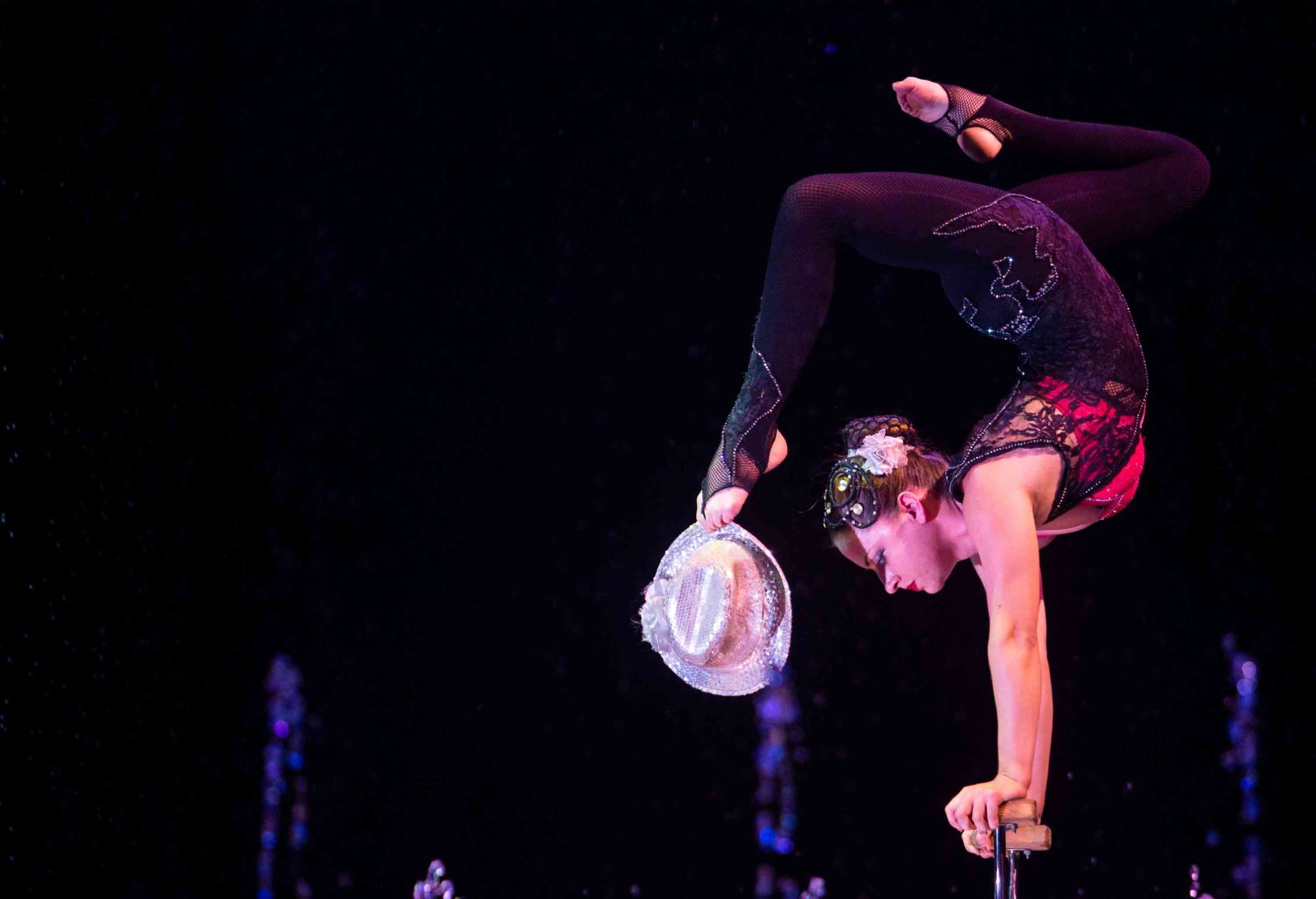 Cirque Italia Photo No. 8